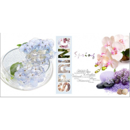 Gạch ốp tường Trường Thịnh GENESIS SERIES G65078-1